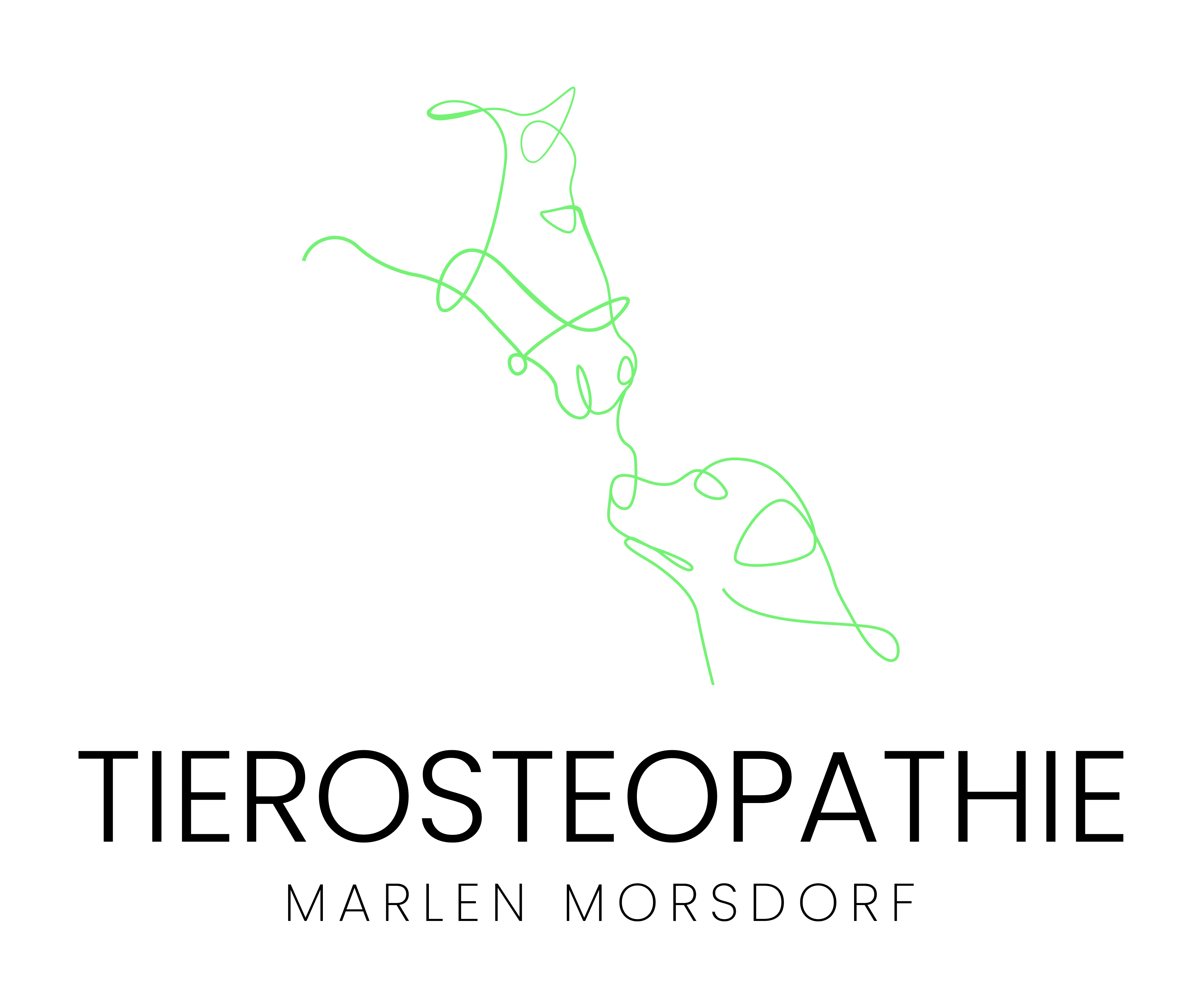 Tierostheopathie Marlen Morsdorf